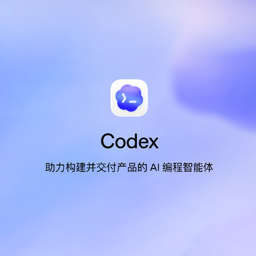 更经济的 Codex 订阅